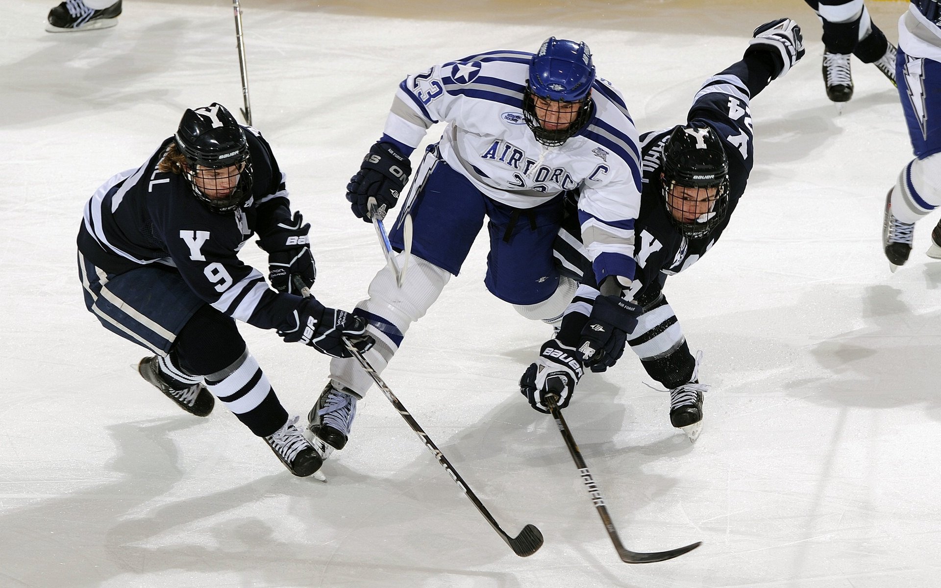 「在错误中成长」莎拉写下最深感谢卫冕失利后感性告白，在错误中成长记叙文800字